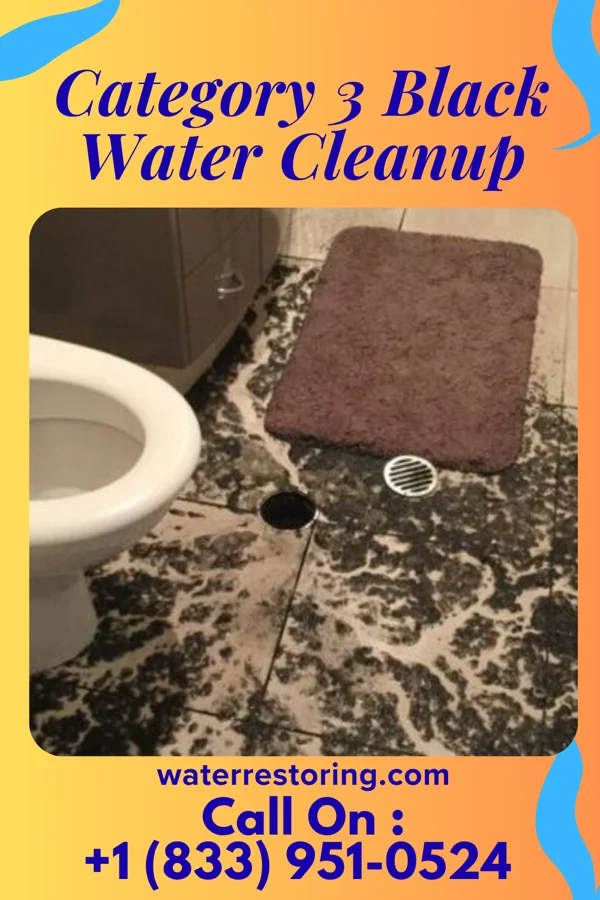 Category 3 Black Water Cleanup in Silver Lake, OH
