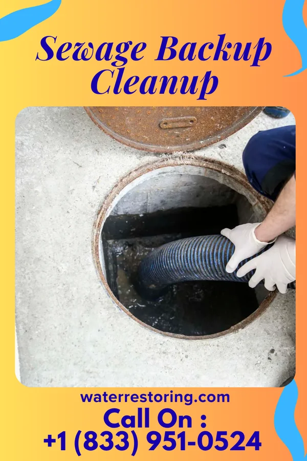 Sewage Backup Cleanup in Silver Lake, OH