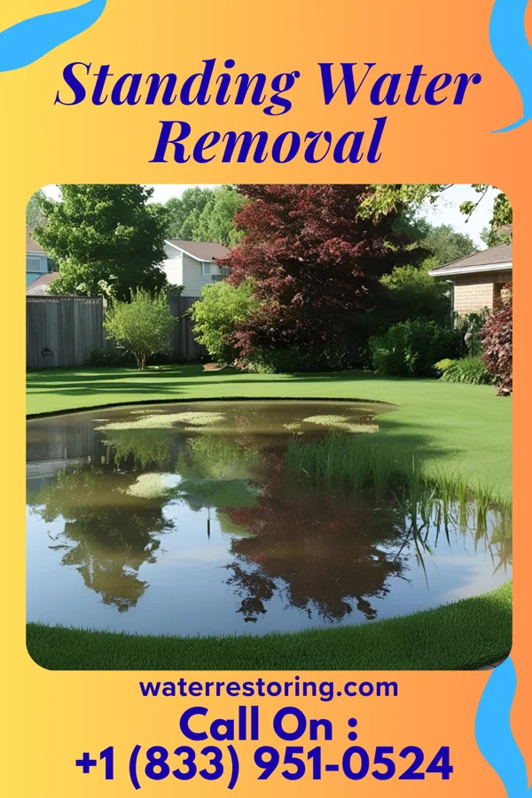 Standing Water Removal in Silver Lake, OH